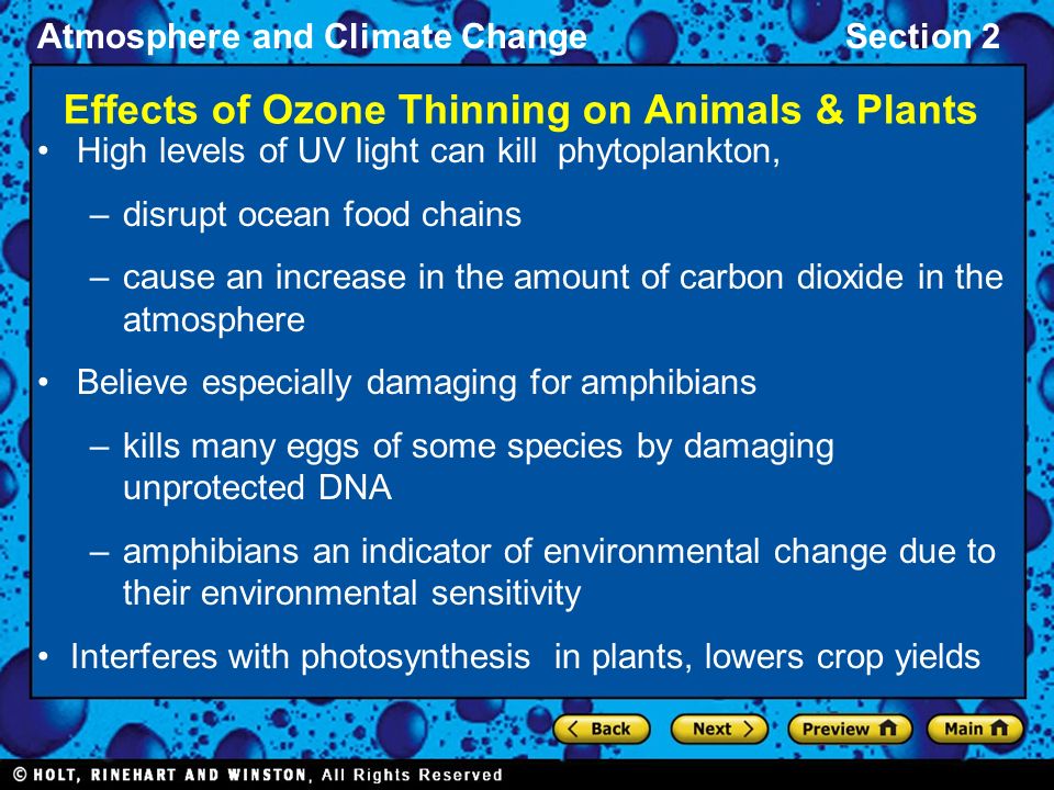 Atmosphere and Climate ChangeSection 2 Effects of Ozone Thinning on Animals & Plants High levels of UV light can kill phytoplankton, –disrupt ocean food chains –cause an increase in the amount of carbon dioxide in the atmosphere Believe especially damaging for amphibians –kills many eggs of some species by damaging unprotected DNA –amphibians an indicator of environmental change due to their environmental sensitivity Interferes with photosynthesis in plants, lowers crop yields