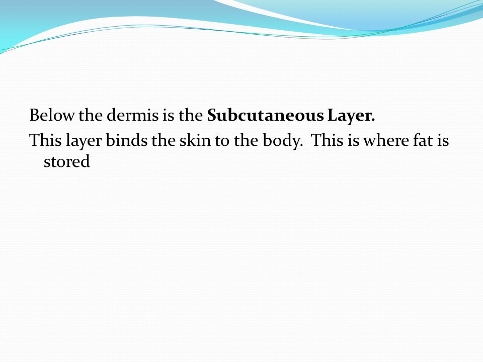 Below the dermis is the Subcutaneous Layer. This layer binds the skin to the body.