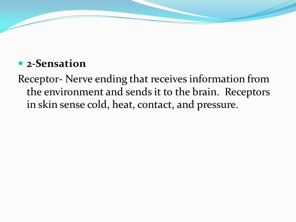 2-Sensation Receptor- Nerve ending that receives information from the environment and sends it to the brain.