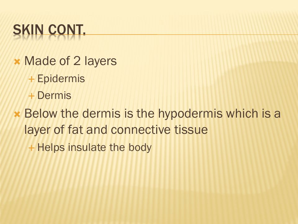  Made of 2 layers  Epidermis  Dermis  Below the dermis is the hypodermis which is a layer of fat and connective tissue  Helps insulate the body