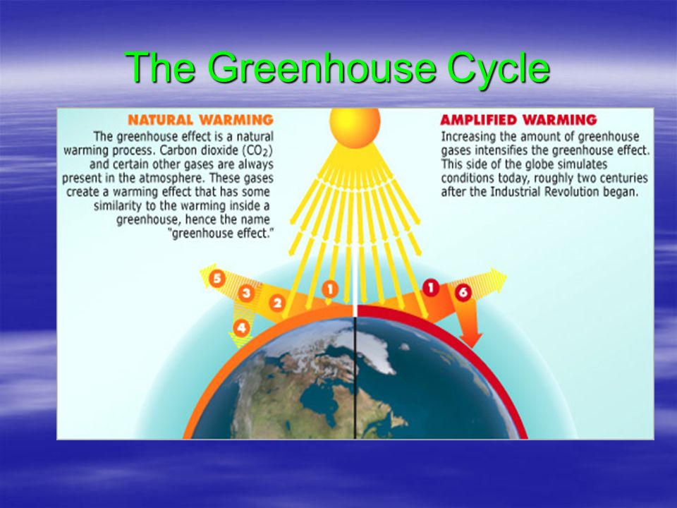 The Greenhouse Cycle