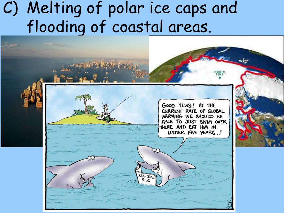 C)Melting of polar ice caps and flooding of coastal areas.
