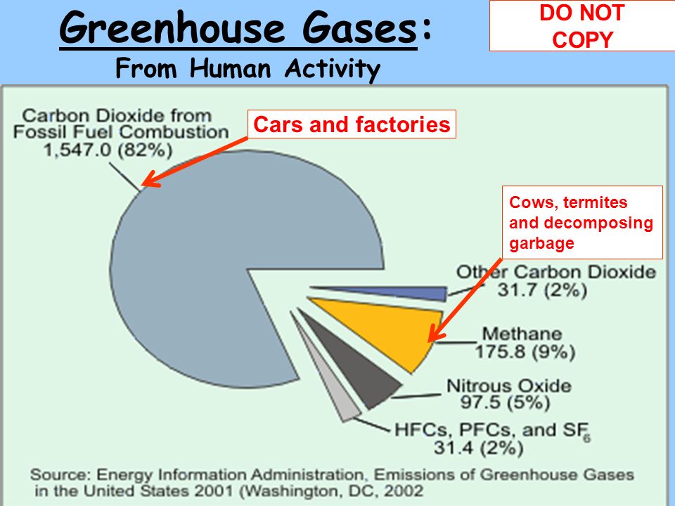Greenhouse Gases: From Human Activity DO NOT COPY Cars and factories Cows, termites and decomposing garbage