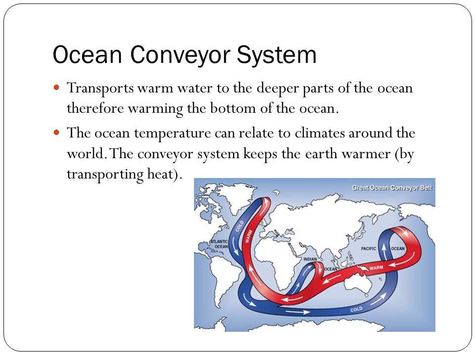 Ocean Conveyor System Transports warm water to the deeper parts of the ocean therefore warming the bottom of the ocean.