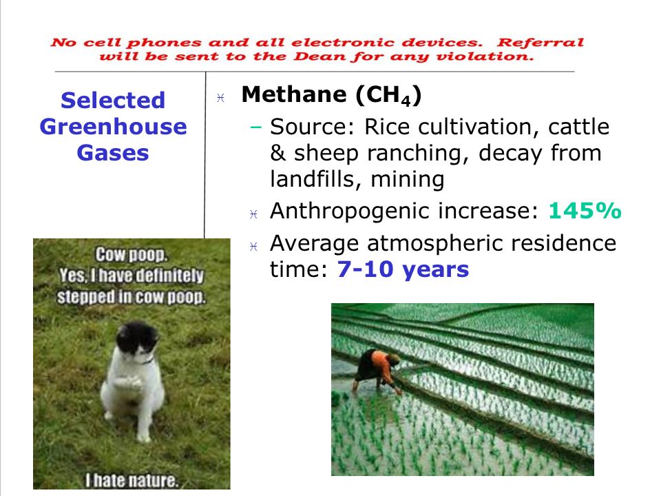 Selected Greenhouse Gases  Methane (CH 4 ) –Source: Rice cultivation, cattle & sheep ranching, decay from landfills, mining  Anthropogenic increase: 145% i Average atmospheric residence time: 7-10 years