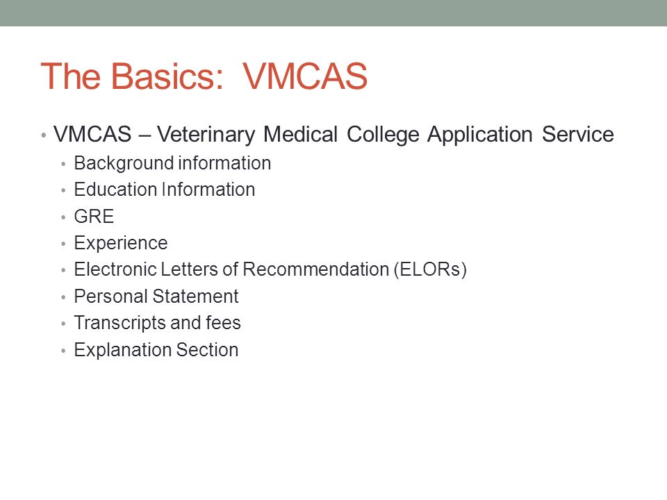 the application process vet school the basics vmcas vmcas vmcas letter of recommendation