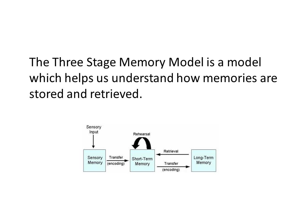The Three Stage Memory Model is a model which helps us understand how memories are stored and retrieved.