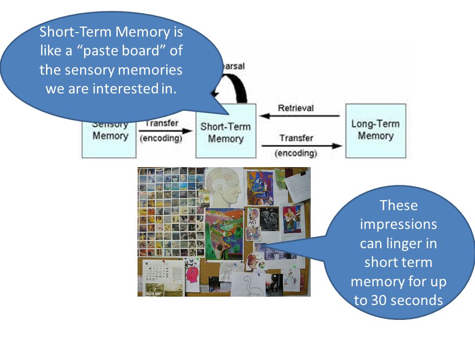 Short-Term Memory is like a paste board of the sensory memories we are interested in.