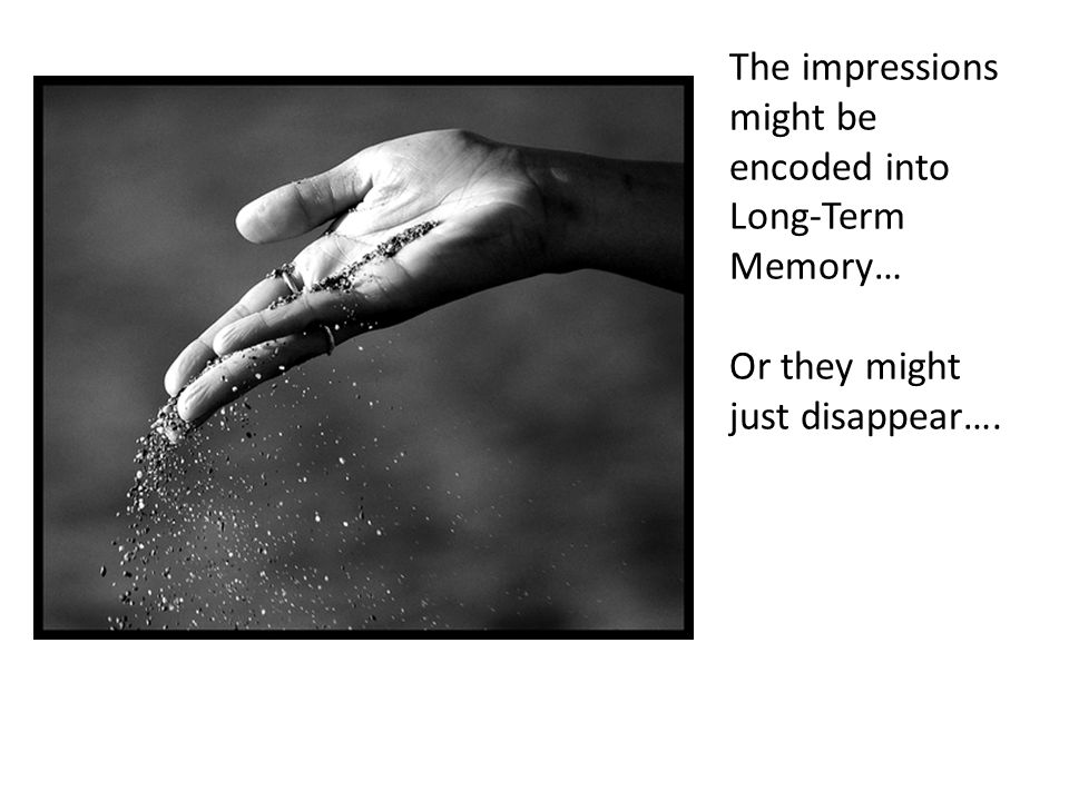 The impressions might be encoded into Long-Term Memory… Or they might just disappear….