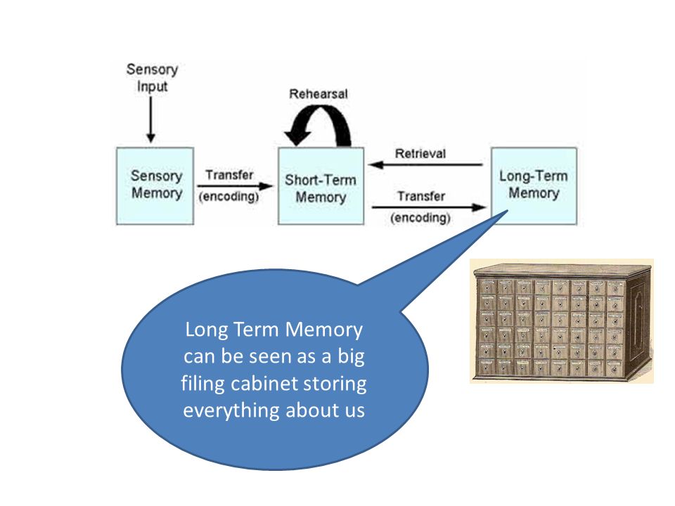 Long Term Memory can be seen as a big filing cabinet storing everything about us
