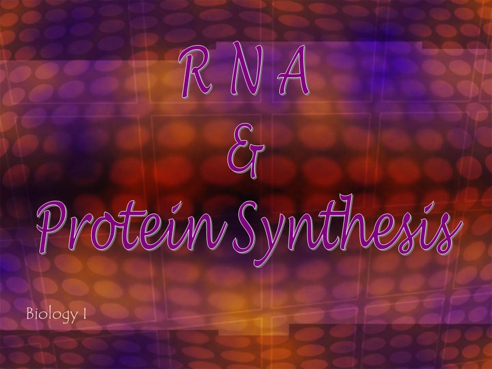 bell ringer 1 name the process in which cells divide 2 what must the process of transcription is indicated by the letter