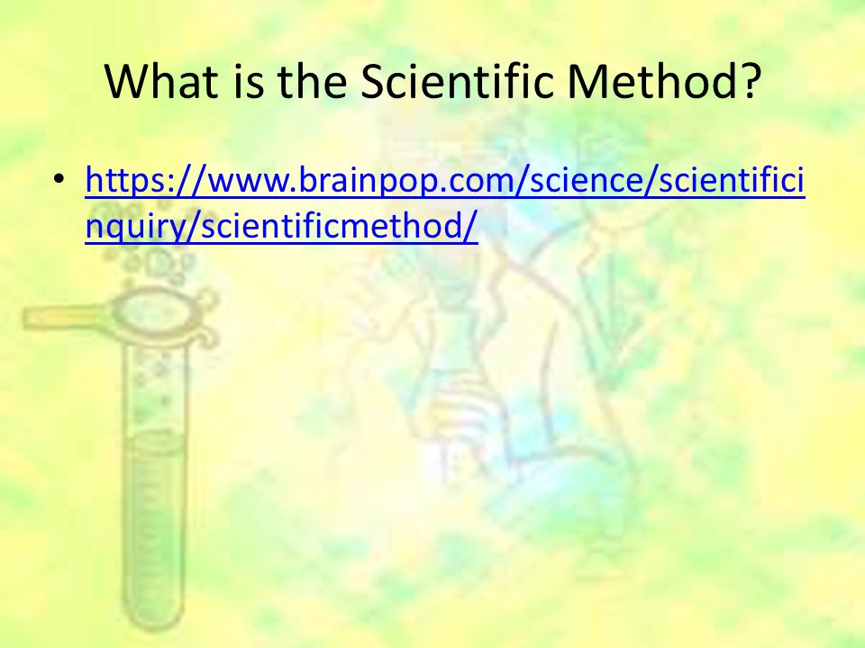 What is the Scientific Method.