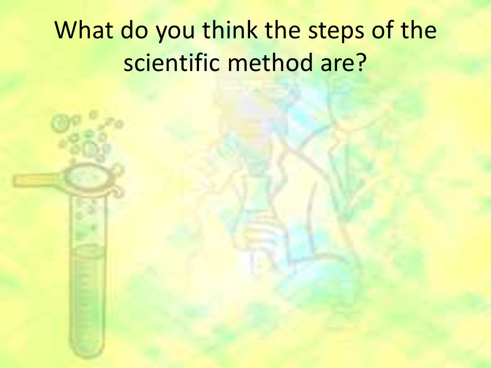 What do you think the steps of the scientific method are