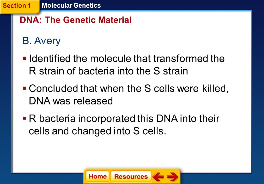 Click On A Lesson Name To Select Molecular Genetics Section 1 4 Dna The Genetic Material Molecular Genetics Section 1