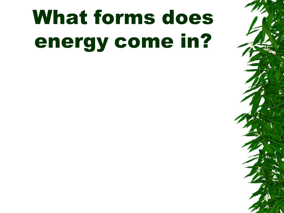 What forms does energy come in