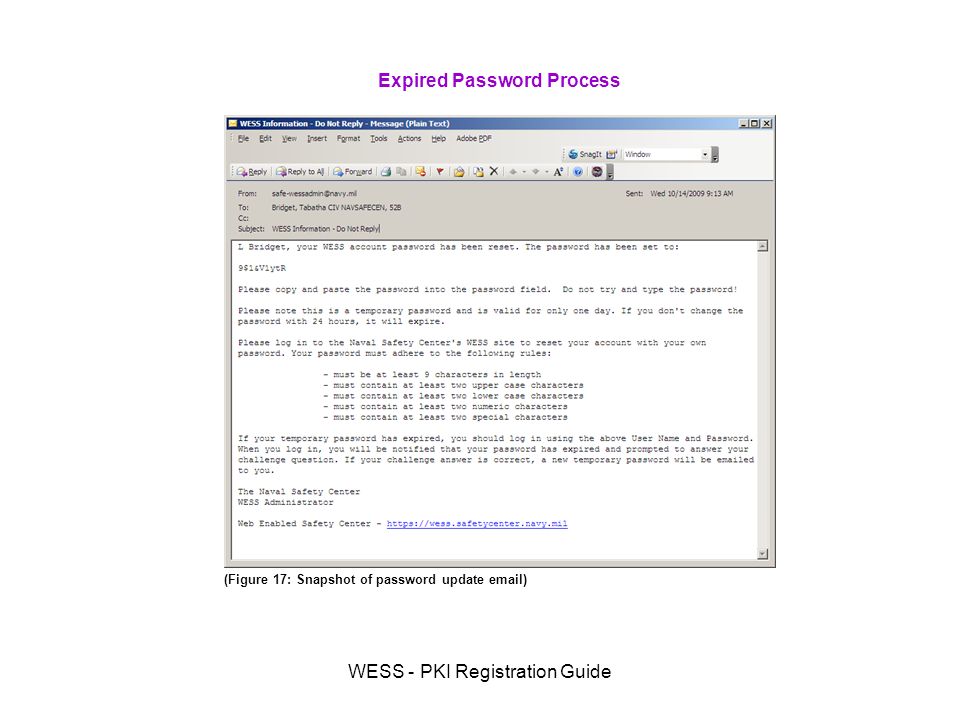 WESS - PKI Registration Guide Expired Password Process (Figure 17: Snapshot of password update  )