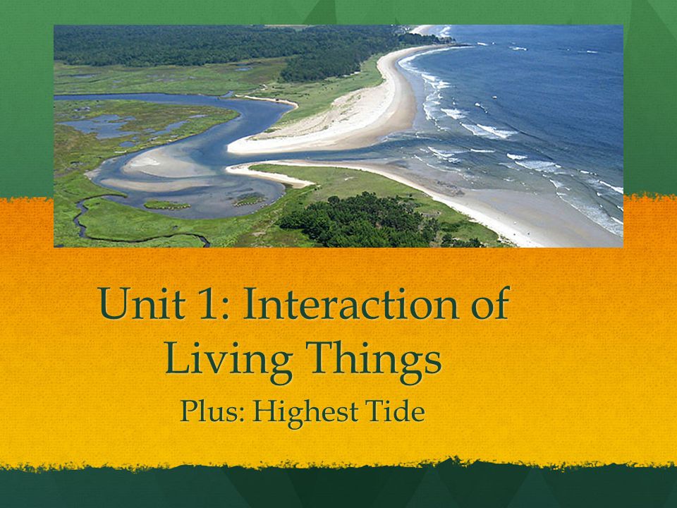 Unit 1: Interaction of Living Things Plus: Highest Tide