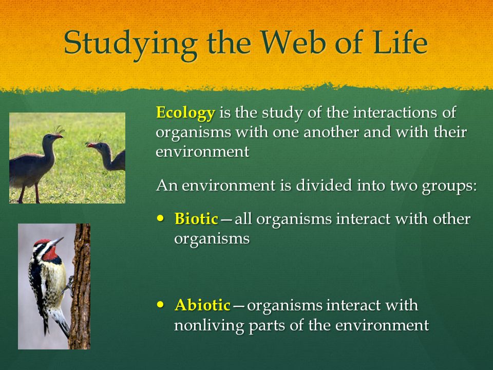 Studying the Web of Life Ecology is the study of the interactions of organisms with one another and with their environment An environment is divided into two groups: Biotic —all organisms interact with other organisms Biotic —all organisms interact with other organisms Abiotic —organisms interact with nonliving parts of the environment Abiotic —organisms interact with nonliving parts of the environment