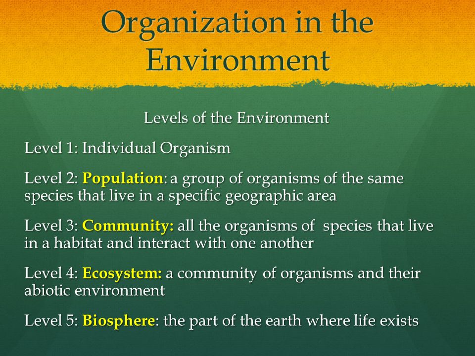 Organization in the Environment Levels of the Environment Level 1: Individual Organism Level 2: Population : a group of organisms of the same species that live in a specific geographic area Level 3: Community: all the organisms of species that live in a habitat and interact with one another Level 4: Ecosystem: a community of organisms and their abiotic environment Level 5: Biosphere : the part of the earth where life exists