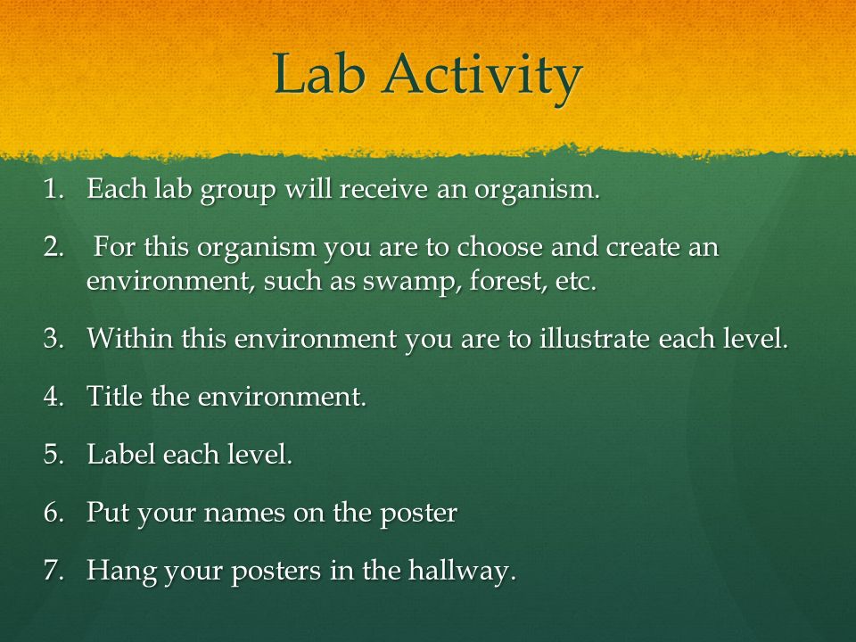 Lab Activity 1.Each lab group will receive an organism.