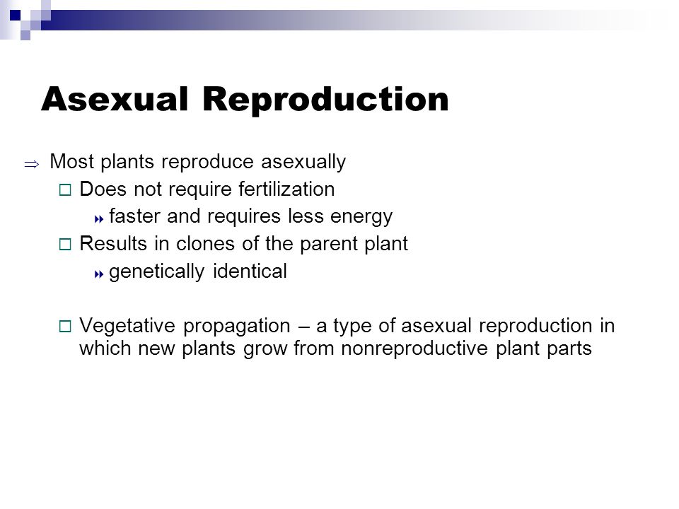 Asexual Reproduction  Most plants reproduce asexually  Does not require fertilization  faster and requires less energy  Results in clones of the parent plant  genetically identical  Vegetative propagation – a type of asexual reproduction in which new plants grow from nonreproductive plant parts