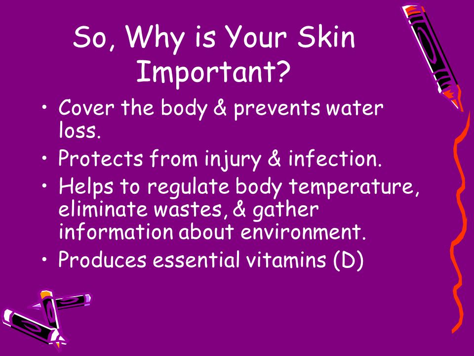 So, Why is Your Skin Important. Cover the body & prevents water loss.