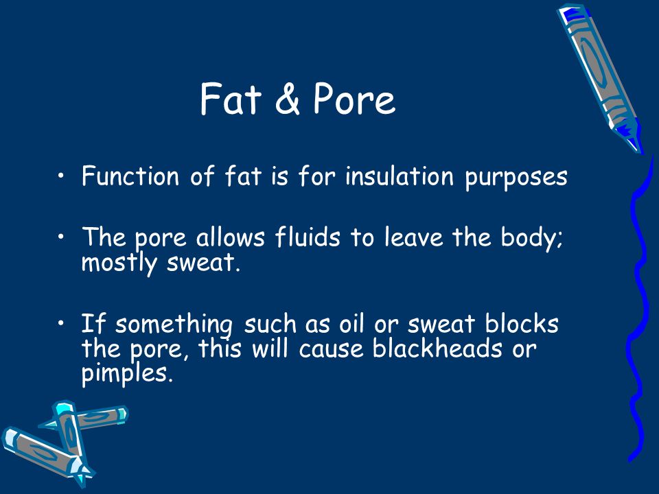Fat & Pore Function of fat is for insulation purposes The pore allows fluids to leave the body; mostly sweat.