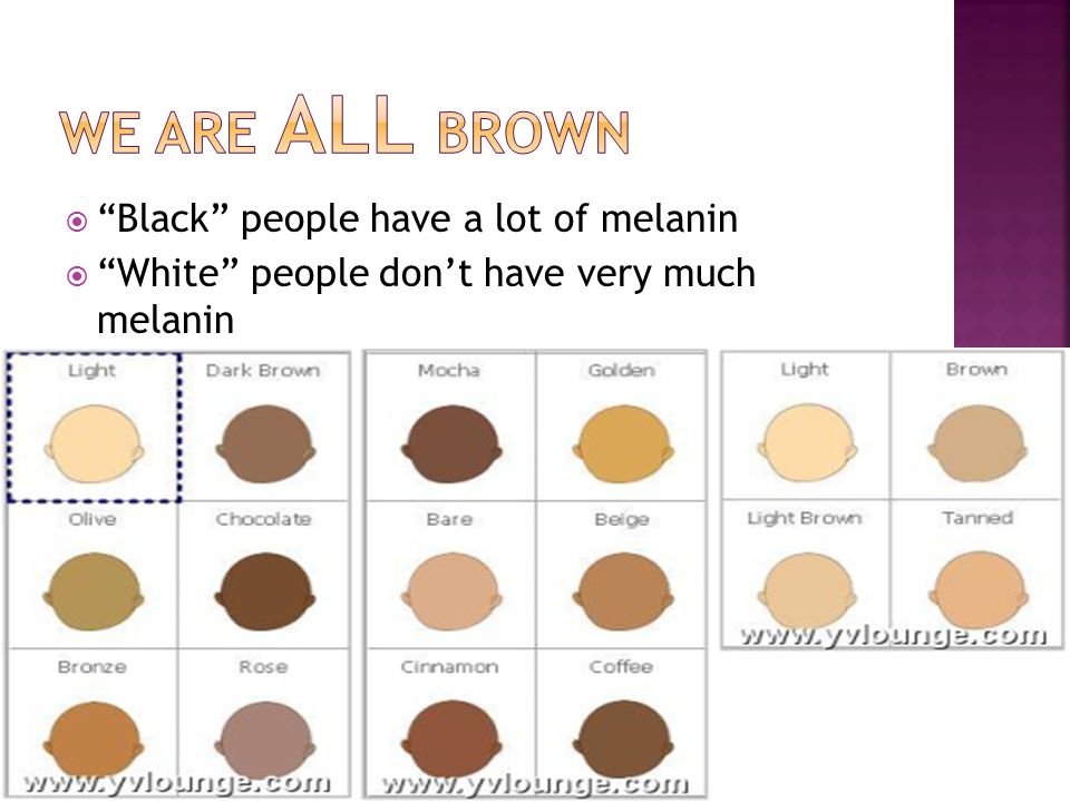  Black people have a lot of melanin  White people don’t have very much melanin