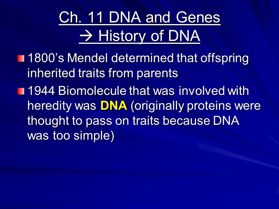 Take Out Paper For Notes Answer The Following Questions At 2 Ch 11 Dna And Genes