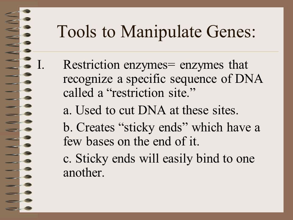 Tools to Manipulate Genes: I.Restriction enzymes= enzymes that recognize a specific sequence of DNA called a restriction site. a.