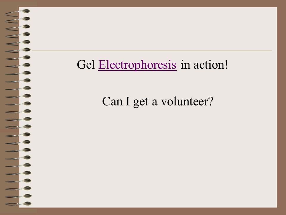 Gel Electrophoresis in action!Electrophoresis Can I get a volunteer