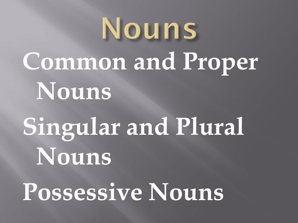 Common and Proper Nouns Singular and Plural Nouns Possessive Nouns
