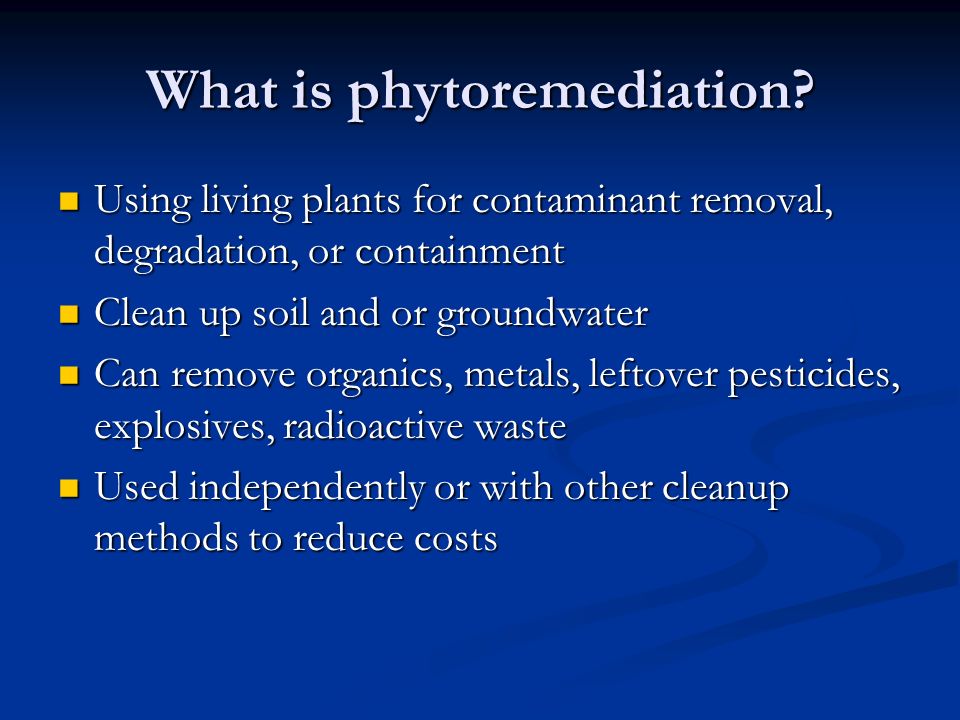 Phytoremediation of pesticides ppt presentation