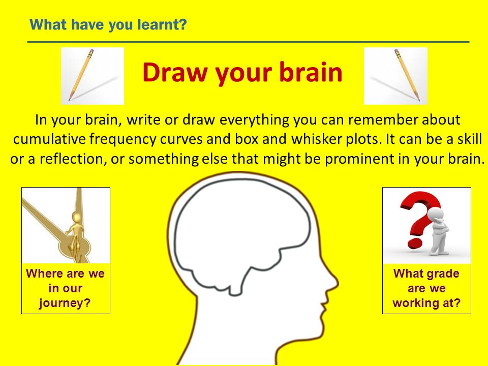 Draw your brain What have you learnt.