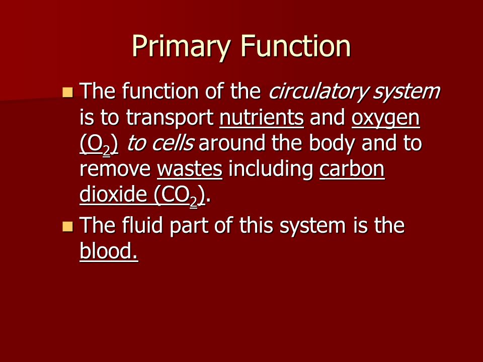 Primary Function The function of the circulatory system is to transport nutrients and oxygen (O 2 ) to cells around the body and to remove wastes including carbon dioxide (CO 2 ).
