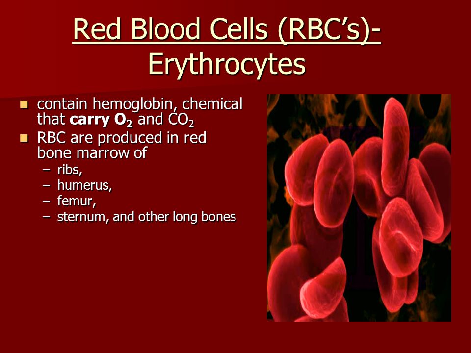 Red Blood Cells (RBC’s)- Erythrocytes contain hemoglobin, chemical that carry O 2 and CO 2 contain hemoglobin, chemical that carry O 2 and CO 2 RBC are produced in red bone marrow of RBC are produced in red bone marrow of –ribs, –humerus, –femur, –sternum, and other long bones