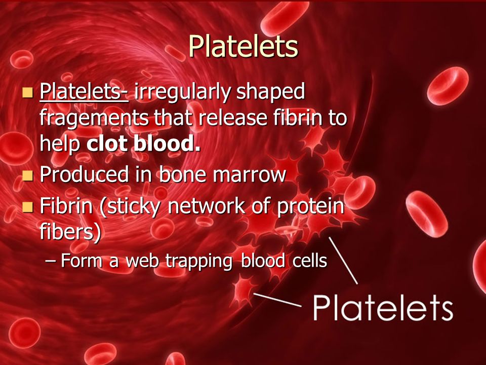 Platelets Platelets- irregularly shaped fragements that release fibrin to help clot blood.