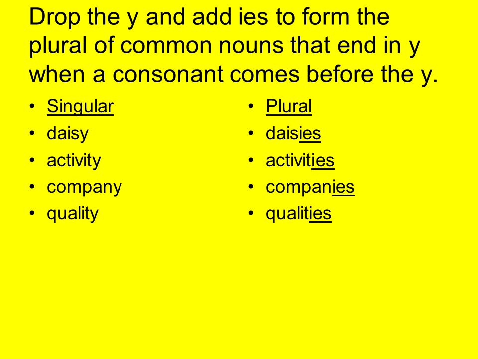 Drop the y and add ies to form the plural of common nouns that end in y when a consonant comes before the y.