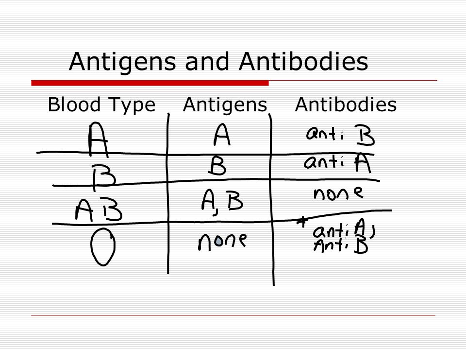 Antigens and Antibodies Blood Type Antigens Antibodies