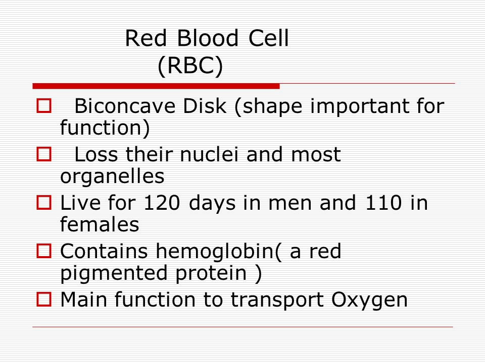 Red Blood Cell (RBC)  Biconcave Disk (shape important for function)  Loss their nuclei and most organelles  Live for 120 days in men and 110 in females  Contains hemoglobin( a red pigmented protein )  Main function to transport Oxygen