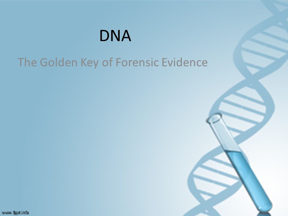 DNA The Golden Key of Forensic Evidence
