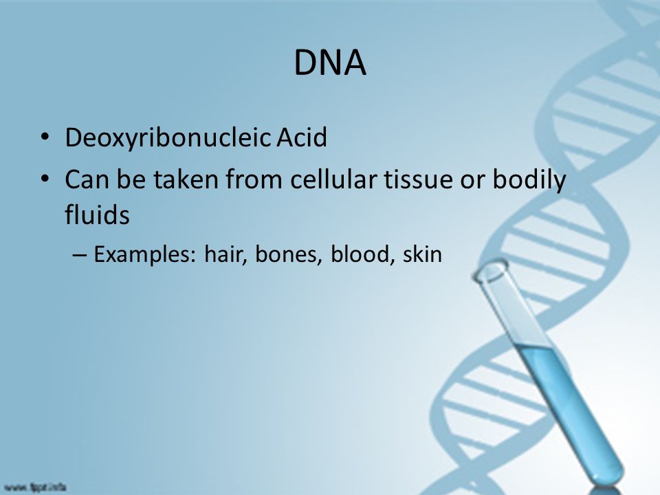 DNA Deoxyribonucleic Acid Can be taken from cellular tissue or bodily fluids – Examples: hair, bones, blood, skin