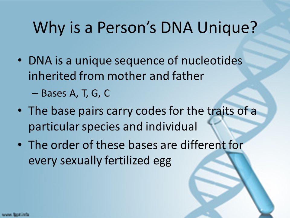 Why is a Person’s DNA Unique.