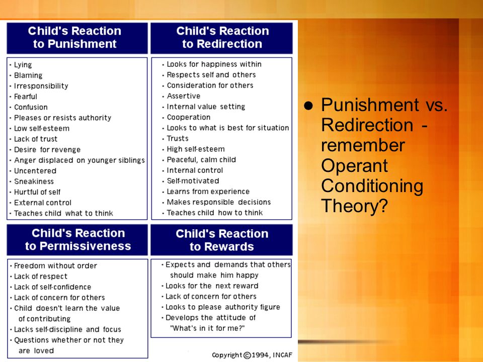 Punishment vs. Redirection - remember Operant Conditioning Theory