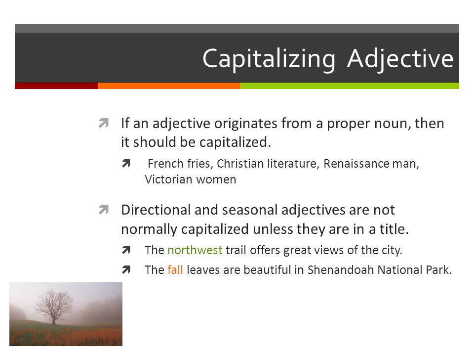 Capitalizing Adjective  If an adjective originates from a proper noun, then it should be capitalized.