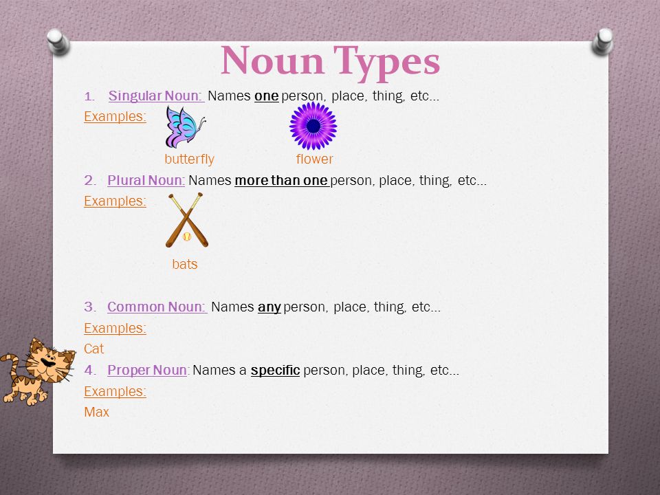 Noun Types 1. Singular Noun: Names one person, place, thing, etc… Examples: butterfly flower 2.