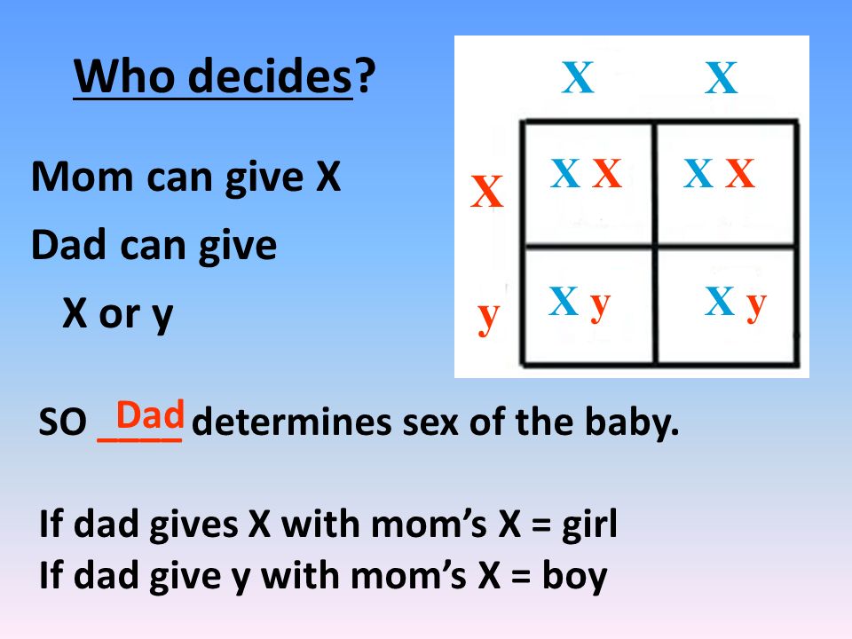 Who determines the sex of the baby, free young innocent sex
