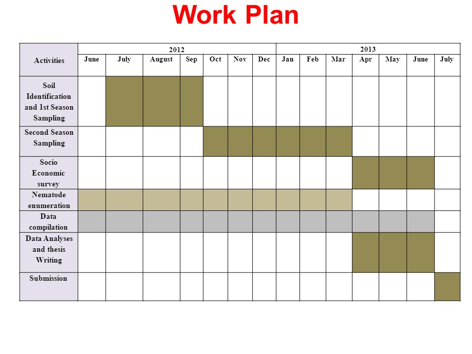 Sample thesis work plan