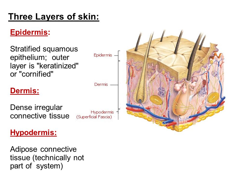 nexium info nexium info