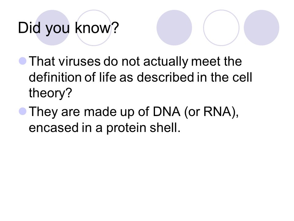 cell theory definition